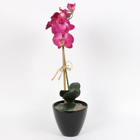 Nearly Natural Orchid Phalaenopsis Artificial Arrangement in Vase