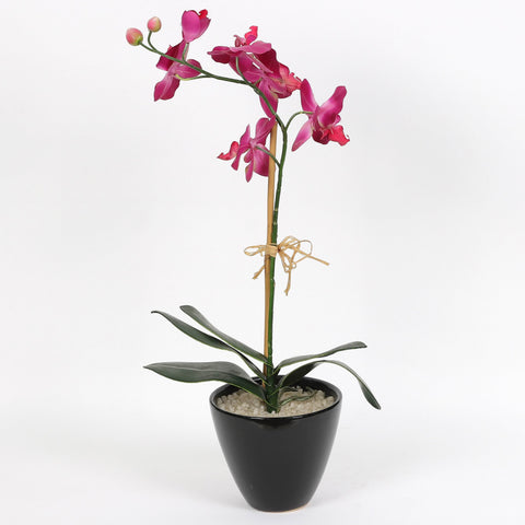 Nearly Natural Orchid Phalaenopsis Artificial Arrangement in Vase