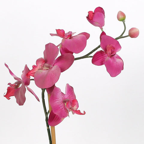 Nearly Natural Orchid Phalaenopsis Artificial Arrangement in Vase
