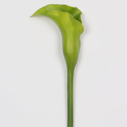 Flower Pick | Home Decor | Interior Styling