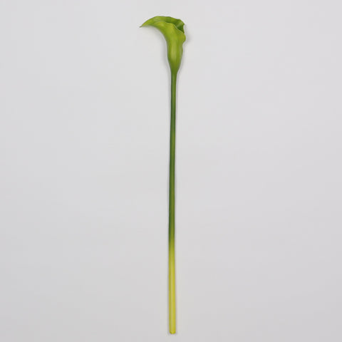 Flower Pick | Home Decor | Interior Styling