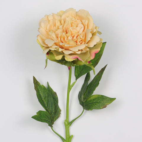 Flower Pick | Home Decor | Interior Styling
