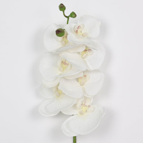 Flower Pick | Home Decor | Interior Styling