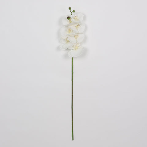 Flower Pick | Home Decor | Interior Styling