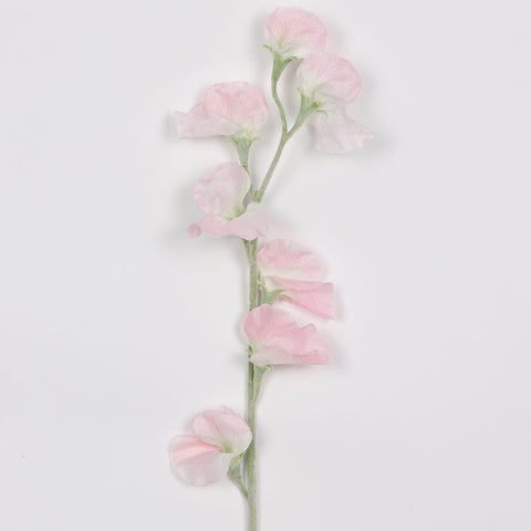 Flower Pick | Home Decor | Interior Styling