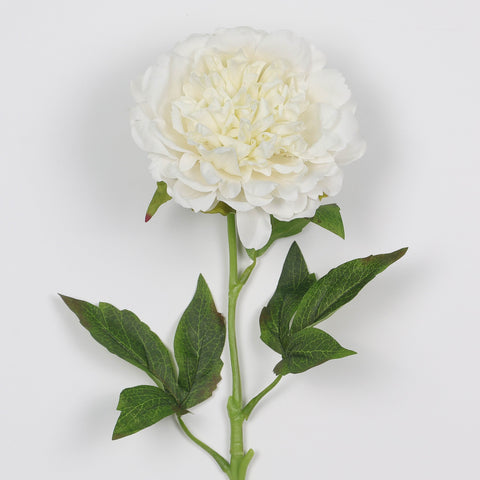 Flower Pick | Home Decor | Interior Styling