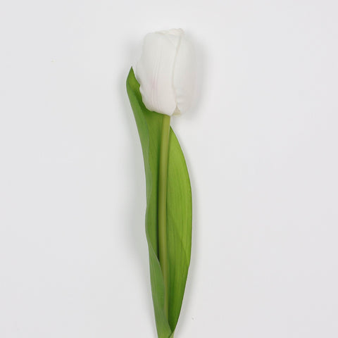Flower Pick | Home Decor | Interior Styling
