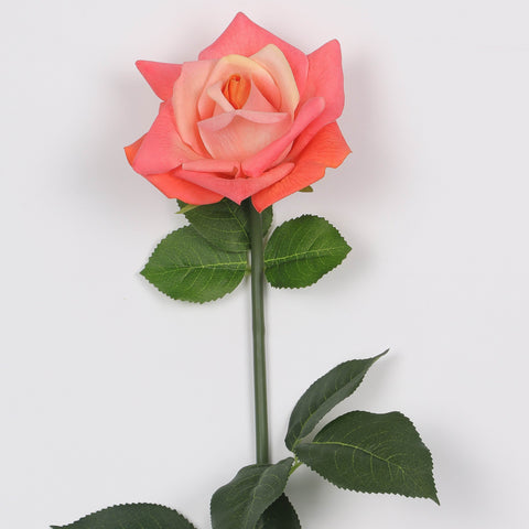 Flower Pick | Home Decor | Interior Styling