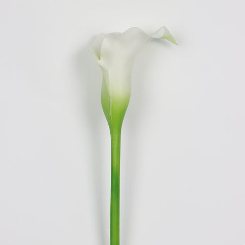 Flower Pick | Home Decor | Interior Styling