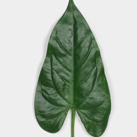 Leaf Pick | Home Decor | Interior Styling