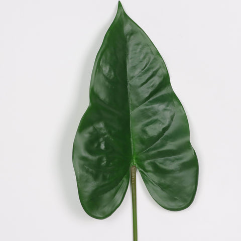 Leaf Pick | Home Decor | Interior Styling