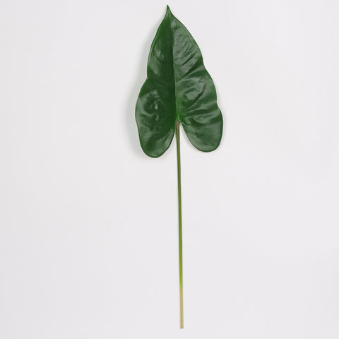 Leaf Pick | Home Decor | Interior Styling