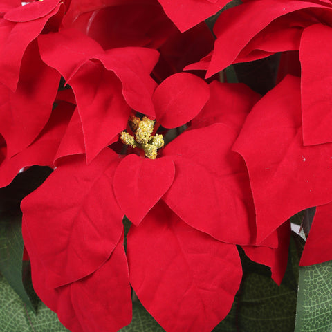 Poinsettia W/ Base | Christmas Decor | Festive Holiday Decoration