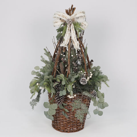 Xmas Tree In Pot 