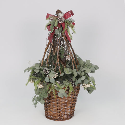 Xmas Tree In Pot 