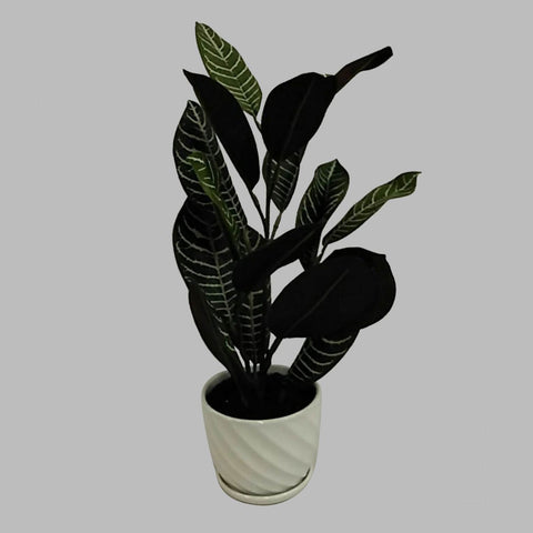 Green Leave In Pot