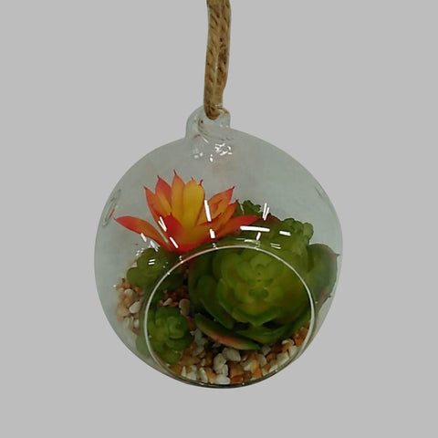 Succulent In Pot