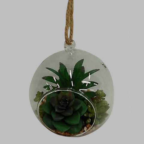 Succulent In Pot