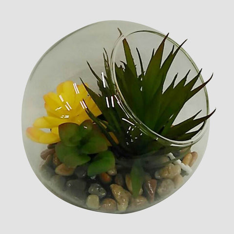 Succulent In Pot