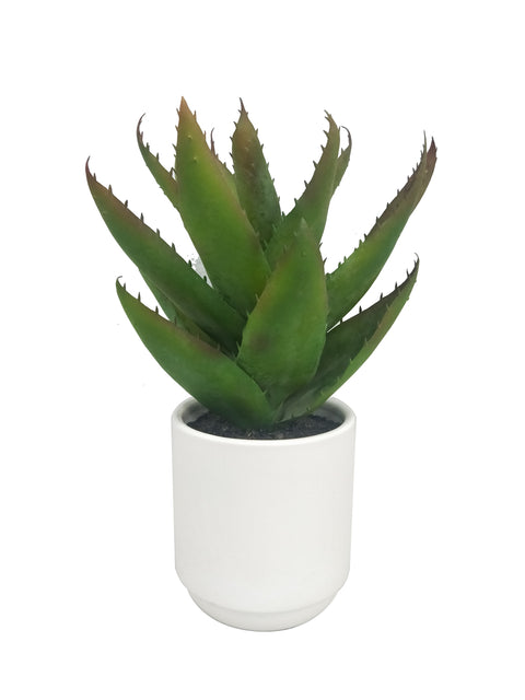 Asparagus Fern in White Pot: Lifelike 12.5" Plant for Home Decoration
