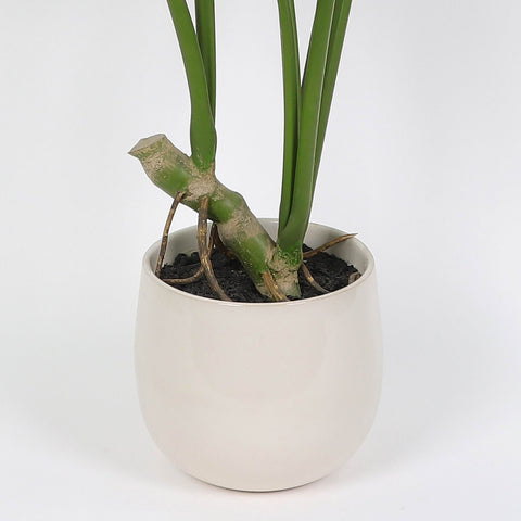 Greenery Décor | Home Decor | Interior Styling