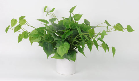 Potted Artificial Pothos Plant - 12 Inch Faux Plant for Home and Office Decor