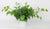 12 Inch Potted Artificial Pothos Plant