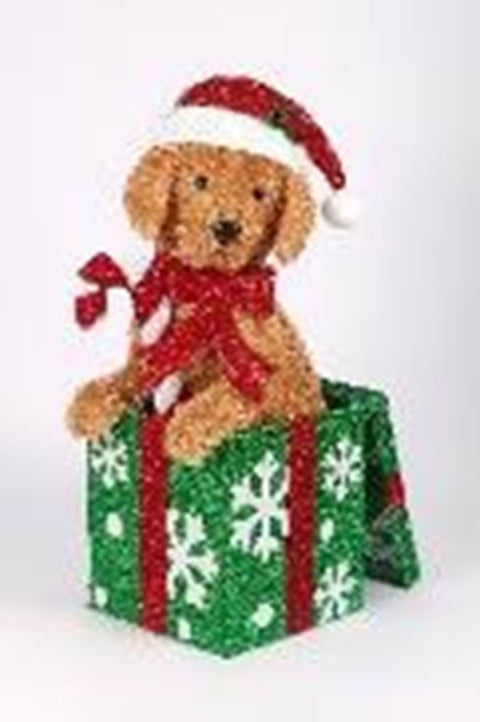 Xmas Dog in Gift Box w/ LED