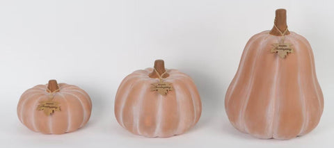 Set of 3 Harvest Terra Cotta Pumpkins (CLUB TEST) 