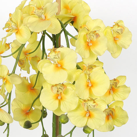Nearly Natural Orchid Phalaenopsis Artificial Arrangement in Vase