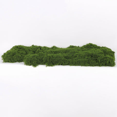 Greenery Décor | Home Decor | Interior Styling