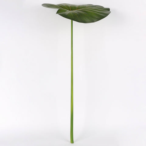Green Leaf Stem | Home Decor | Interior Styling