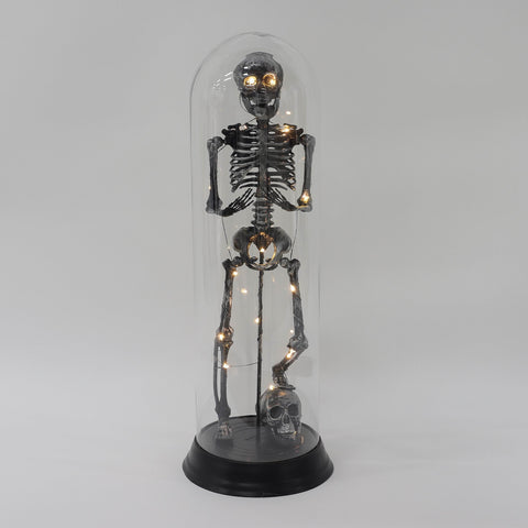 Halloween Light Up Dome Skeleton: Spooky Illuminated Decoration