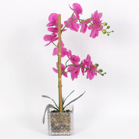 Nearly Natural Orchid Phalaenopsis Artificial Arrangement in Vase