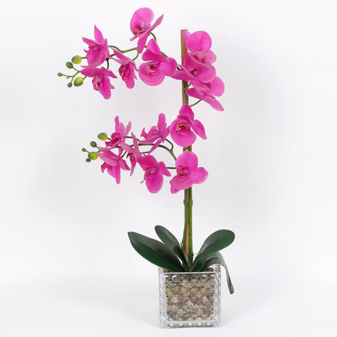 Nearly Natural Orchid Phalaenopsis Artificial Arrangement in Vase
