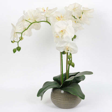 Nearly Natural Orchid Phalaenopsis Artificial Arrangement in Vase