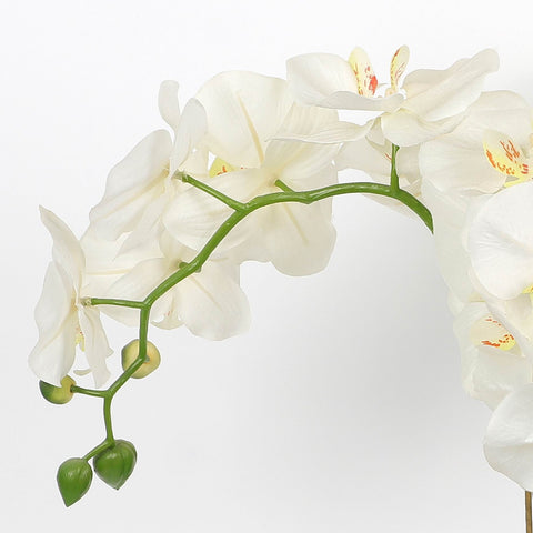 Nearly Natural Orchid Phalaenopsis Artificial Arrangement in Vase