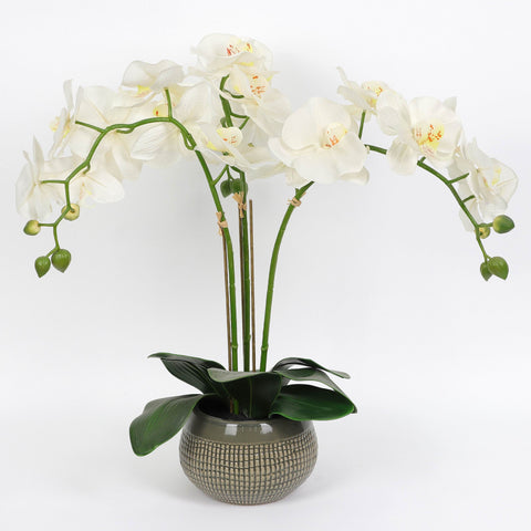 Nearly Natural Orchid Phalaenopsis Artificial Arrangement in Vase