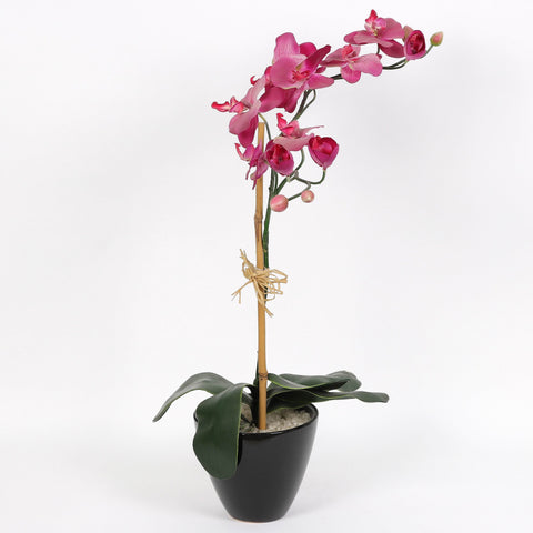 Nearly Natural Orchid Phalaenopsis Artificial Arrangement in Vase