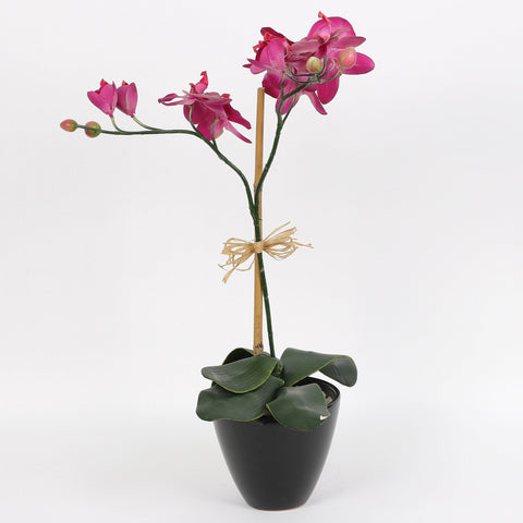 Nearly Natural Orchid Phalaenopsis Artificial Arrangement in Vase