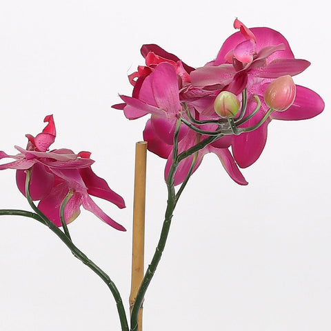 Nearly Natural Orchid Phalaenopsis Artificial Arrangement in Vase