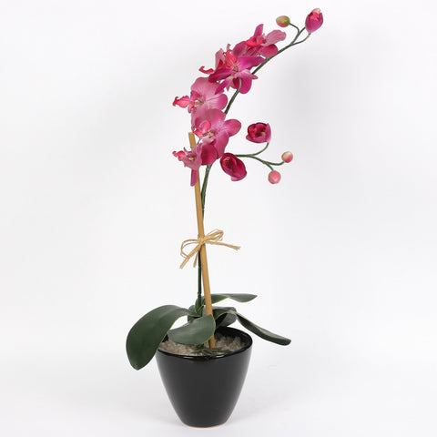 Nearly Natural Orchid Phalaenopsis Artificial Arrangement in Vase