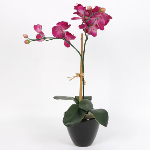 Nearly Natural Orchid Phalaenopsis Artificial Arrangement in Vase
