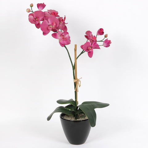 Nearly Natural Orchid Phalaenopsis Artificial Arrangement in Vase
