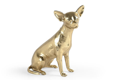 Anatomical chihuahua Dog  (M) Gold