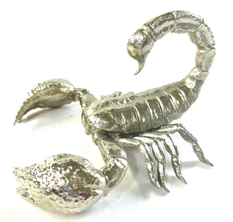Anatomical Emperor Scorpion Sculpture (M) Nickel