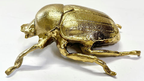 Anatomical Japanese Beetle Sculpture (M) Gold