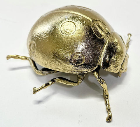 Anatomical Lady-Bird Sculpture (M) Gold
