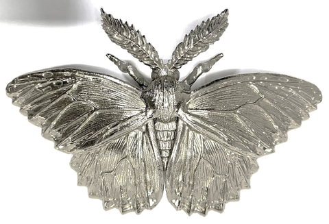 Anatomical Moth Sculpture (M) Black