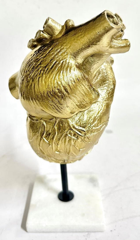 Anatomical Human Heart On Stand (M) Gold